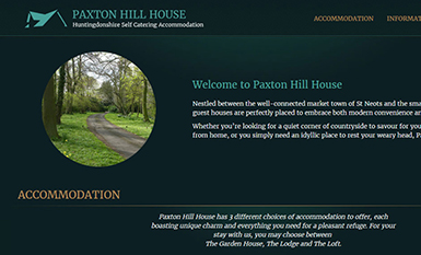 Portfolio Responsive website